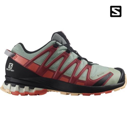 Tenis Para Trail Running Salomon Xa Pro 3d V8 GTX Mujer Verde Oliva Rojos | MX DXWA237